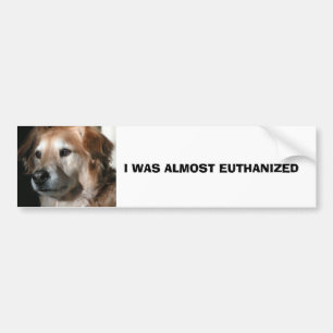 I WAS ALMOST EUTHANIZED BUMPER STICKER