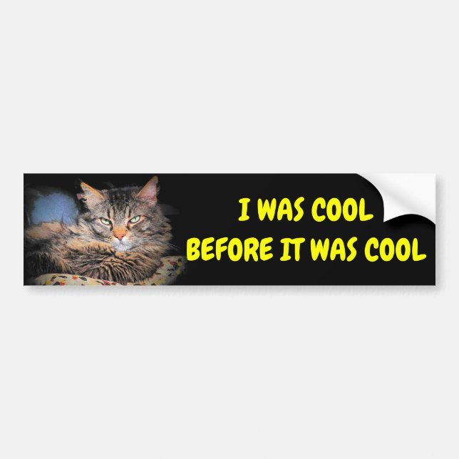 I Was Cool Before It Was Cool Cat Meme Bumper Sticker (Front)