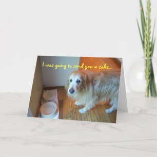 I was going to send you a cake... card