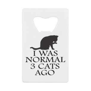 i-was-normal-3-cats-ago--funny-cat