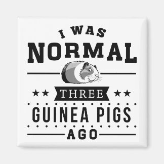 I Was Normal Three Guinea Pigs Ago Magnet