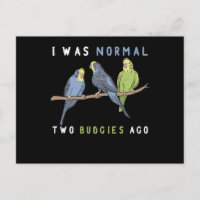 I Was Normal Two Budgies Ago Budgie Bird
