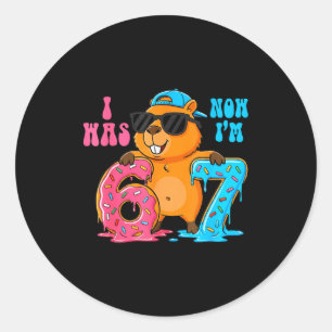 I Was Six Now I'm Seven 6 7 Capybara 67 Meme 7th B Classic Round Sticker