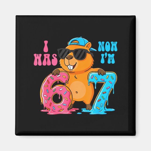 I Was Six Now I'm Seven 6 7 Capybara 67 Meme 7th B Magnet (Front)
