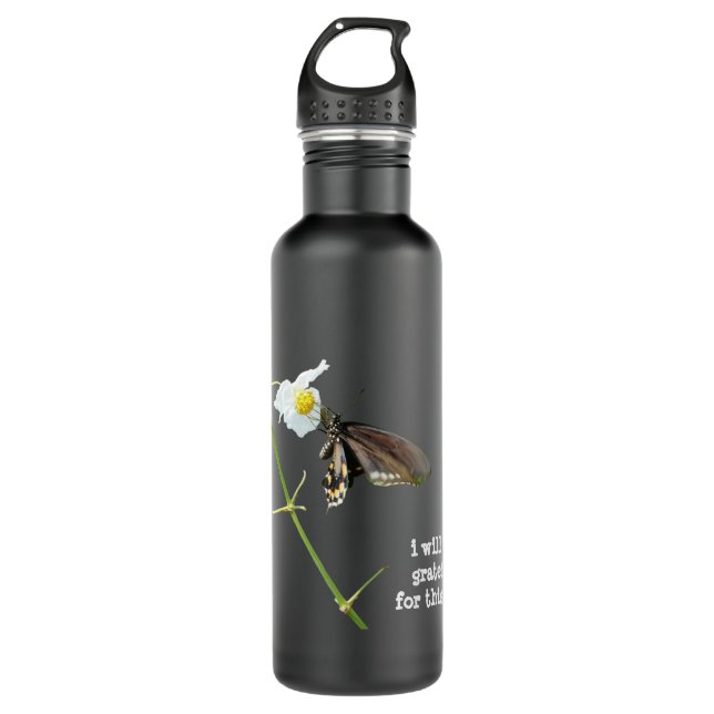 i will be grateful for this day, butterfly 710 ml water bottle (Front)