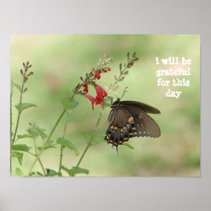 i will be grateful for this day, butterfly poster