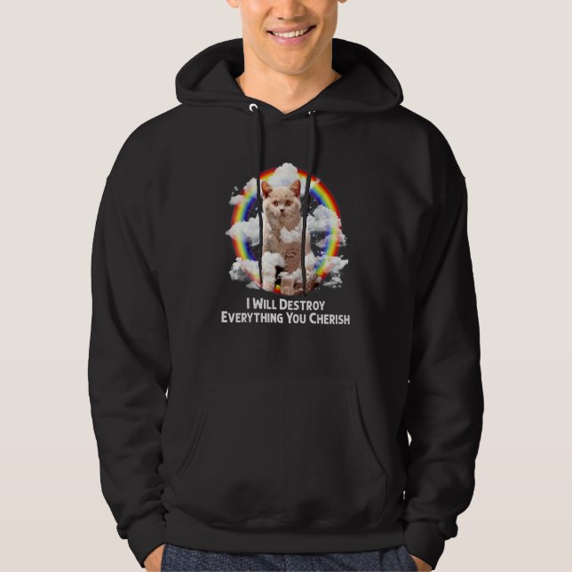 I Will Destroy Everything You Cherish Cat Rainbow  Hoodie (Front)
