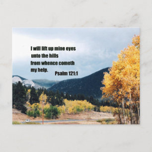 I will lift up mine eyes unto the hills... postcard