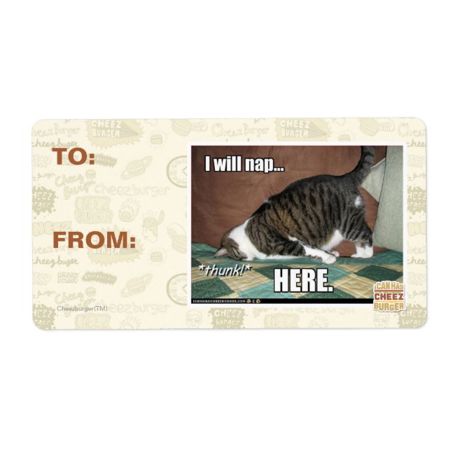 I will nap here (Front)