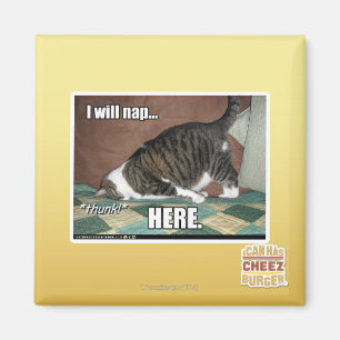 I will nap here magnet