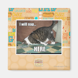 I will nap here magnet