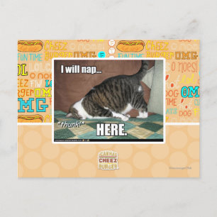 I will nap here postcard