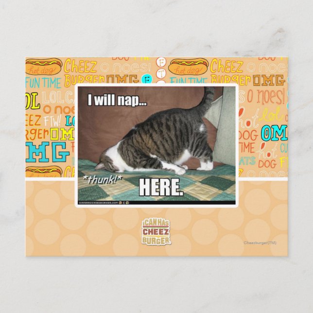 I will nap here postcard (Front)