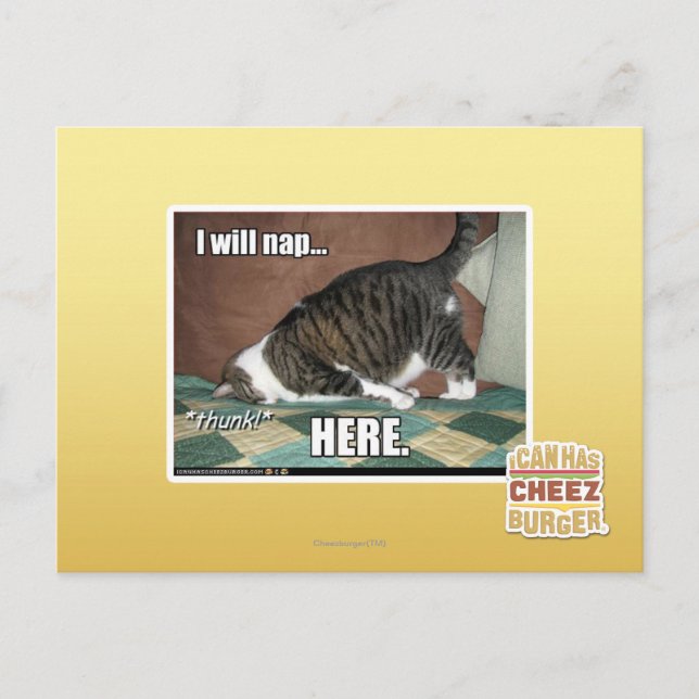 I will nap here postcard (Front)