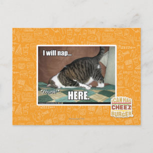 I will nap here postcard