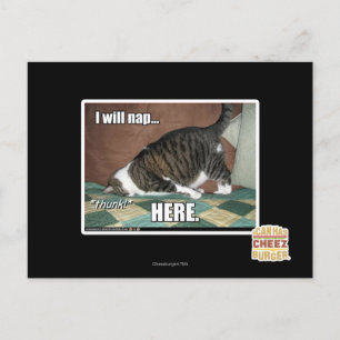 I will nap here postcard