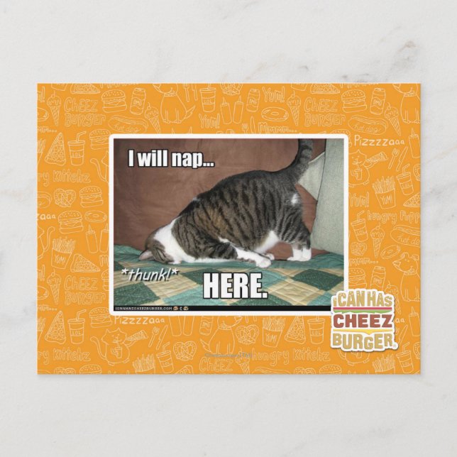 I will nap here postcard (Front)
