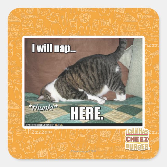 I will nap here square sticker (Front)
