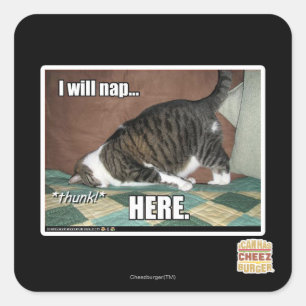 I will nap here square sticker