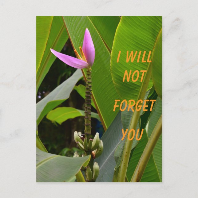 I will not forget christian promise  postcard (Front)