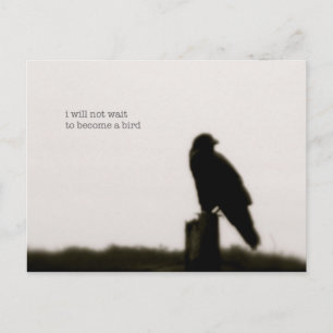 "i will not wait" postcard