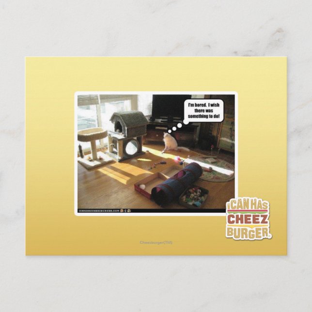 I wish there was something to do postcard (Front)