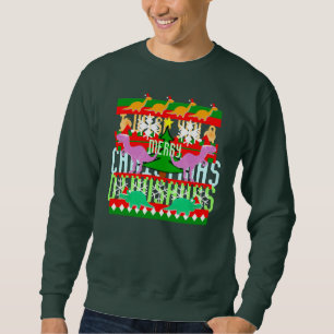 I Wish You a Merry Christmas Dinosaurs Ugly Sweatshirt