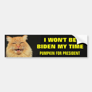 I Won't Be Biden My Time Bumper Sticker
