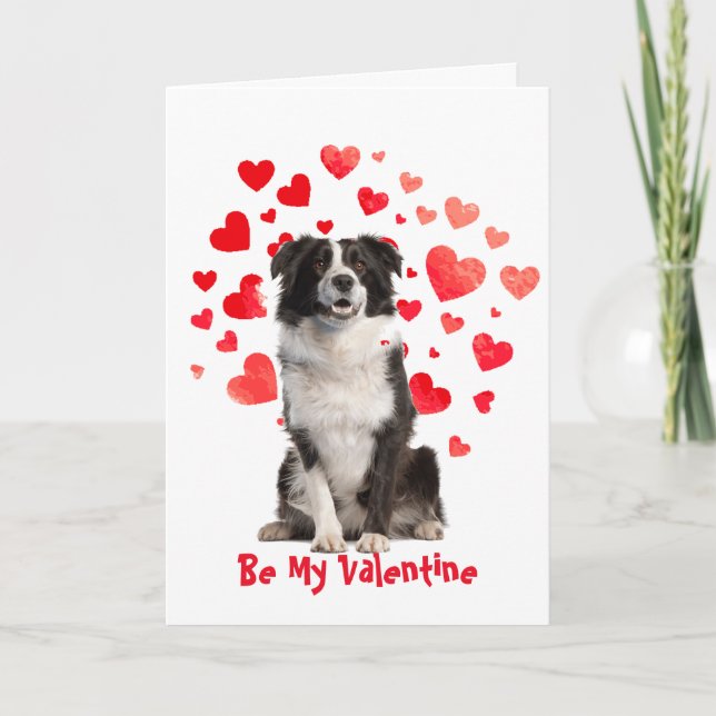 I Woof Love You Border Collie Dog Valentine Holiday Card (Front)