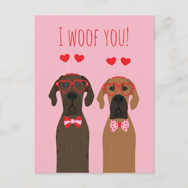 I Woof You Valentines Day Great Dane Dogs Postcard (Front)