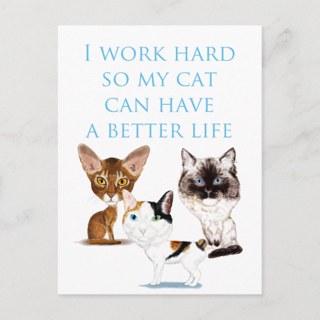 I Work Hard Postcard (Front)