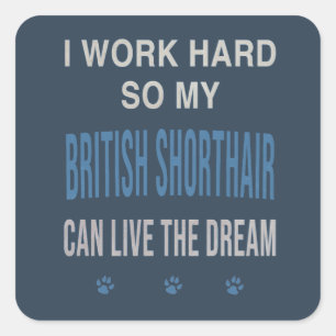 I Work Hard So My British Shorthair Square Sticker
