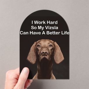I Work Hard So My Vizsla Can Have A Better Life Acrylic Invitations