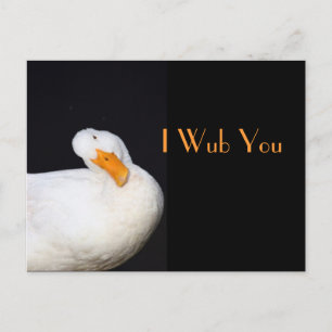 I Wub You, Cute White Duck Postcard