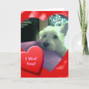 I Wuf You Valentines' Day Westie Card