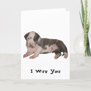 I Wuv You Card