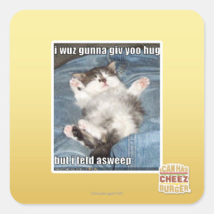 I wuz gunna giv yoo hug square sticker