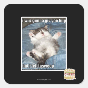 I wuz gunna giv yoo hug square sticker