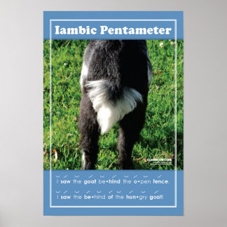 Iambic Pentameter 13" x 19" Classroom Poster