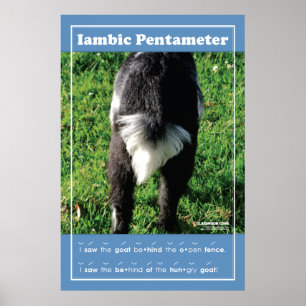 Iambic Pentameter 24" x 36" Classroom Poster