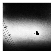 Ianiverse Noir (The Mission)