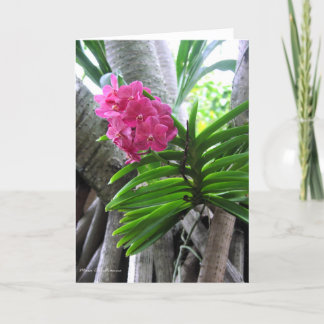 Iao Valley - Maui, Hawaii Card