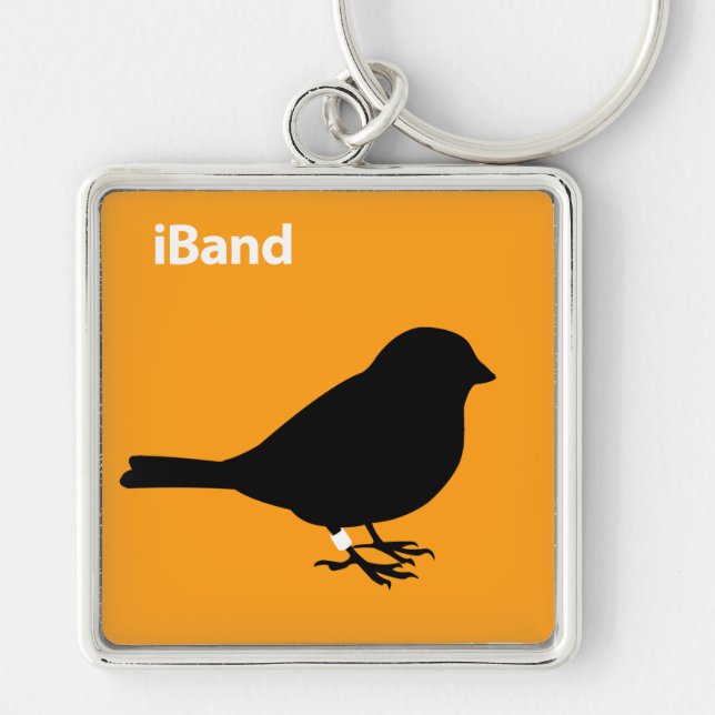 iBand Orange Key Ring (Front)