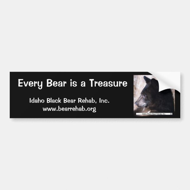 IBBR Bumper Sticker - Ruggles (Front)