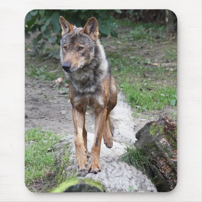 iberian wolf mouse mat (Front)