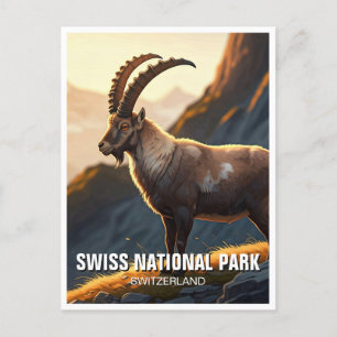 Ibex in Swiss National Park Switzerland Postcard