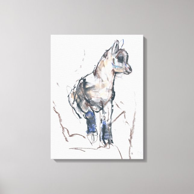 Ibex Kid Canvas Print (Front)