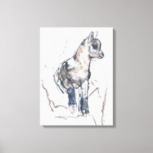 Ibex Kid Canvas Print