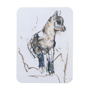 Ibex Kid Magnet