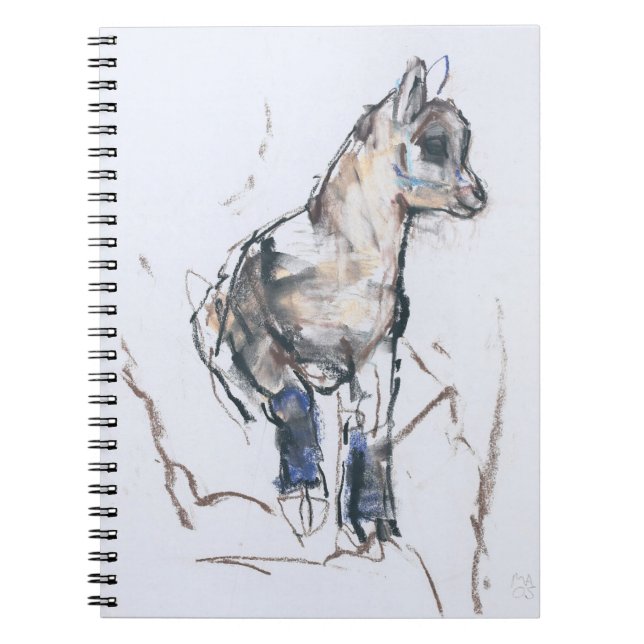 Ibex Kid Notebook (Front)